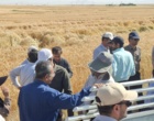 آموزش میدانی مدیریت تغذیه گیاه در بستر مزرعه نمایشی؛ پیوند دانش، پژوهش و اجرا در دهگلان
