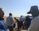 آموزش میدانی مدیریت تغذیه گیاه در بستر مزرعه نمایشی؛ پیوند دانش، پژوهش و اجرا در دهگلان