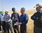 آموزش میدانی مدیریت تغذیه گیاه در بستر مزرعه نمایشی؛ پیوند دانش، پژوهش و اجرا در دهگلان