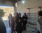 پایان سفر علمی «پیشرانان گیاهان دارویی ایران» در کردستان؛ پیوند دانش بومی زنان روستایی، میراث فرهنگی و آموزش نوین در مسیر توسعه پایدار