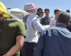 برگزاری روز مزرعه «زنبورداری» در شهرستان دیواندره با هدف ارتقای دانش و مهارت زنبورداران