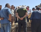 برگزاری روز مزرعه «زنبورداری» در شهرستان دیواندره با هدف ارتقای دانش و مهارت زنبورداران