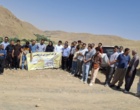 برگزاری روز مزرعه «زنبورداری» در شهرستان دیواندره با هدف ارتقای دانش و مهارت زنبورداران