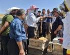 برگزاری روز مزرعه «زنبورداری» در شهرستان دیواندره با هدف ارتقای دانش و مهارت زنبورداران