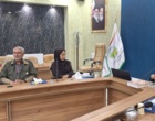 دانش در خدمت صنوبر؛ از تشخیص آفات تا آینده زراعت چوب