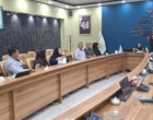 دانش در خدمت صنوبر؛ از تشخیص آفات تا آینده زراعت چوب