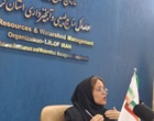 دانش در خدمت صنوبر؛ از تشخیص آفات تا آینده زراعت چوب