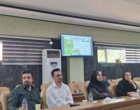 دانش در خدمت صنوبر؛ از تشخیص آفات تا آینده زراعت چوب