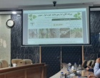 دانش در خدمت صنوبر؛ از تشخیص آفات تا آینده زراعت چوب