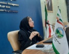 دانش در خدمت صنوبر؛ از تشخیص آفات تا آینده زراعت چوب
