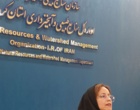 دانش در خدمت صنوبر؛ از تشخیص آفات تا آینده زراعت چوب
