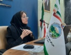 دانش در خدمت صنوبر؛ از تشخیص آفات تا آینده زراعت چوب