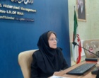 دانش در خدمت صنوبر؛ از تشخیص آفات تا آینده زراعت چوب