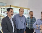 تاکید بر ارتقای کیفیت تولید مینی‌تیوبر سیب‌زمینی در کردستان