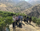 اجرای عملیات کیل‌گیری محصول انگور در شهرستان سنندج با هدف شناسایی و معرفی برگزیدگان بخش کشاورزی