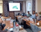 بررسی پرونده درختان کهنسال استان در نخستین جلسه کمیته استانی