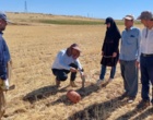 جذب ۳ میلیارد و ۵۷۰ میلیون تومان اعتبار پژوهشی با انعقاد سه قرارداد مطالعاتی در مرکز کردستان