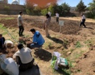 کارگاه آموزشی پرورش زعفران با هدف توسعه آموزش‌های مهارتی و انتقال دانش کاربردی کشاورزی، با حضور فراگیران و دانش‌آموزان در پردیس آموزش کشاورزی سقز برگزار شد.