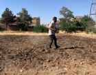 کارگاه آموزشی پرورش زعفران با هدف توسعه آموزش‌های مهارتی و انتقال دانش کاربردی کشاورزی، با حضور فراگیران و دانش‌آموزان در پردیس آموزش کشاورزی سقز برگزار شد.
