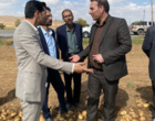 بازدید مدیرکل دفتر امور سبزی و سیفی وزارت جهاد کشاورزی از مزارع تولید بذر سیب‌زمینی در کردستان