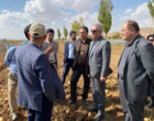 بازدید مدیرکل دفتر امور سبزی و سیفی وزارت جهاد کشاورزی از مزارع تولید بذر سیب‌زمینی در کردستان
