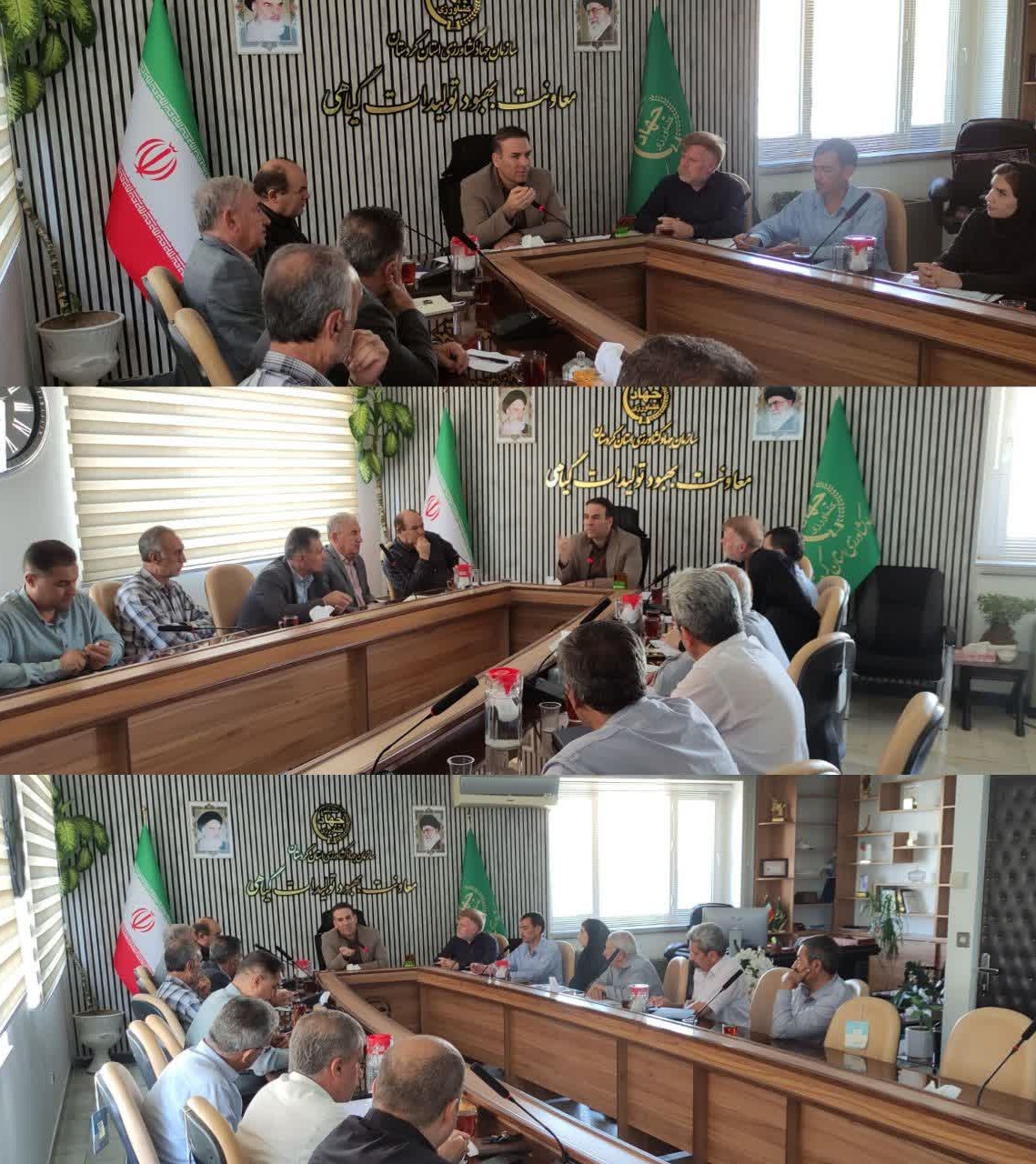 پنجمین جلسه کمیته فنی بذر استان؛ بررسی برنامه تولید و تأمین بذر برای سال زراعی پیش‌رو