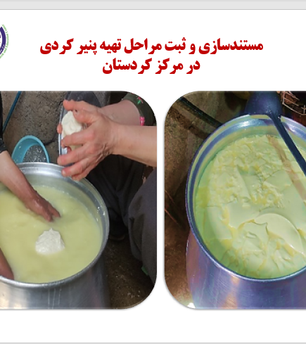 مستندسازی و ثبت مراحل تهیه پنیر کردی در مرکز تحقیقات کردستان