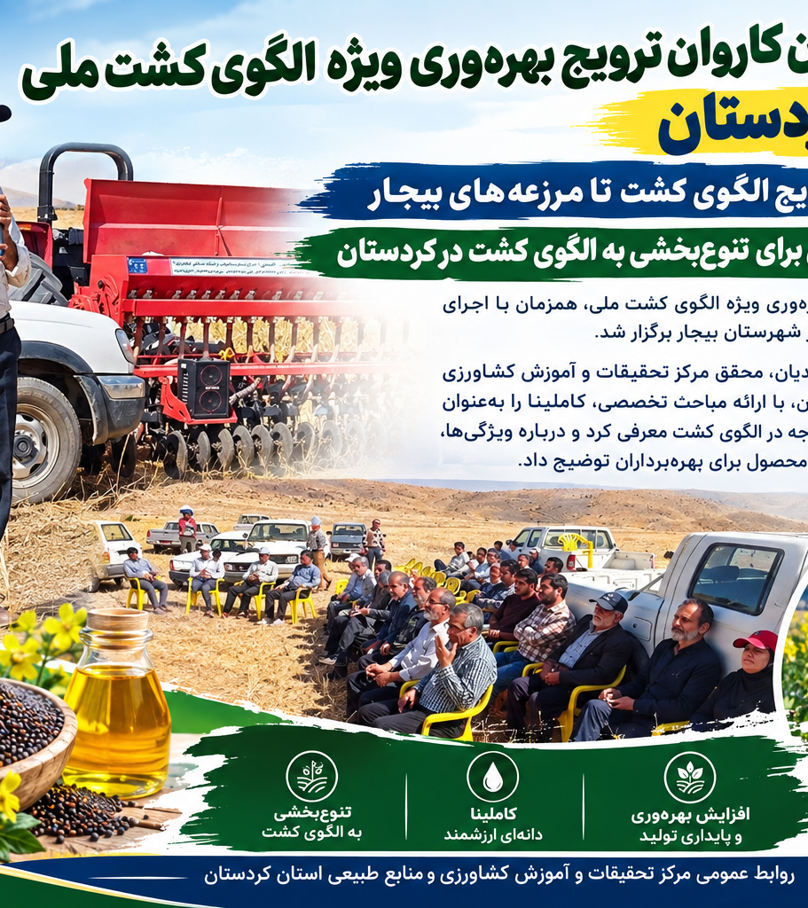 کاملینا در مسیر تنوع‌بخشی به الگوی کشت