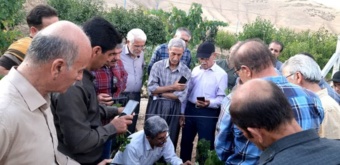 برگزاری دوره آموزشی مهارتی هرس سبز انگور