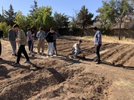 برگزاری کارگاه آموزشی کشت و آبیاِری پاییزه زعفران در پردیس آموزش کشاورزی سقز