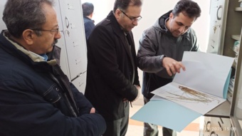 معاون پژوهش و فناوری سازمان تات از هرباریوم کردستان بازدید کرد