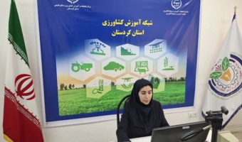 شاک کردستان میزبان دوره‌ای تخصصی با محور شناسایی، پایش و کنترل اصولی آفات کلزا شد