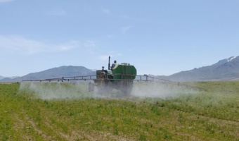 اجرای عملیات کنترل علف‌های هرز باریک‌برگ در مزرعه ماشک قاملو