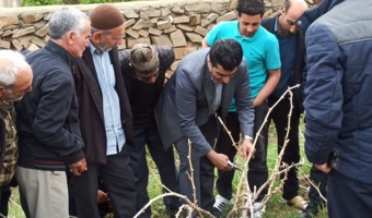 حرکت هدفمند به سوی ارتقای بهره‌وری در تاکستان‌های بیجار