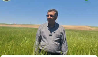 کردستان در مسیر تحقق ۱۰۰ درصدی تولید بذر جو