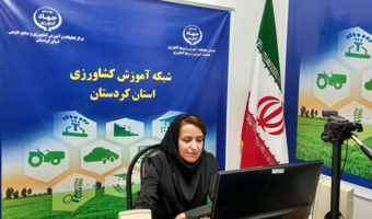 حشرات خوراکی؛ فرصتی نوظهور برای تقویت امنیت غذایی در جهان امروز