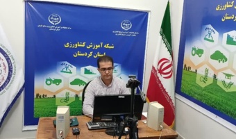 گامی به سوی تولید پایدار نخود؛ آموزش مدیریت هوشمند علف‌های هرز
