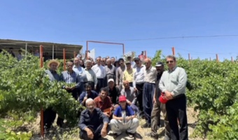 هرس علمی، محصول باکیفیت؛ کارگاه آموزشی هرس سبز انگور در حسن‌آباد سنندج برگزار شد