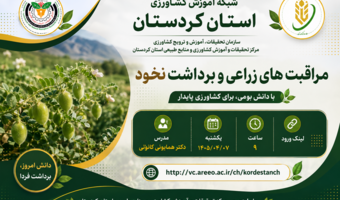 برگزاری دوره آموزشی «مراقبت‌های زراعی و برداشت نخود» در شبکه آموزش کشاورزی استان کردستان