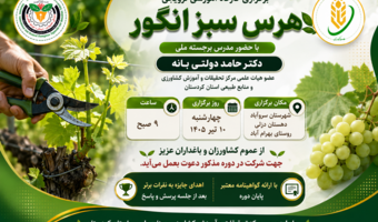 سروآباد میزبان کارگاه تخصصی هرس سبز انگور با تدریس مدرس برجسته ملی