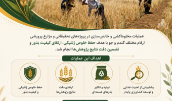 اجرای عملیات مخلوط‌کشی و خالص‌سازی پروژه‌های تحقیقاتی و مزارع پرورشی گندم و جو در ایستگاه تحقیقات کشاورزی قاملو