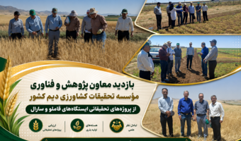 ظرفیت‌های پژوهشی کردستان در کانون توجه مؤسسه تحقیقات کشاورزی دیم کشور؛ بازدید تخصصی از پروژه‌های تحقیقاتی و هسته‌های بذری ایستگاه قاملو و سارال کردستان