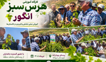 برگزاری کارگاه آموزشی هرس سبز انگور با مشارکت گسترده باغداران در روستای بهرام‌آباد سروآباد