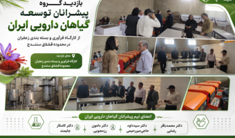 آشنایی با ظرفیت‌های فرآوری، بسته‌بندی و توسعه زنجیره ارزش زعفران در محدوده قشلاق سنندج