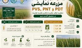 مزرعه نمایشی؛ پلی میان پژوهش، آموزش و کشاورز