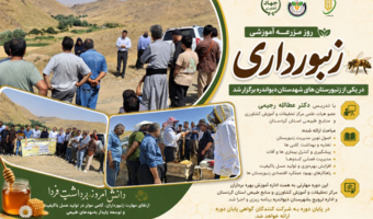 برگزاری روز مزرعه «زنبورداری» در شهرستان دیواندره با هدف ارتقای دانش و مهارت زنبورداران