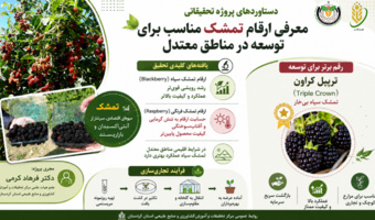 اینفوگرافی معرفی دستاورد پژوهشی توسعه کشت تمشک در مناطق معتدل
