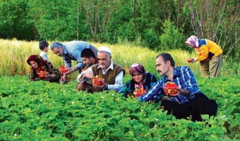 «هه‌ره‌وه‌زی»؛ میراث ارزشمند کُردستان برای تقویت پژوهش، آموزش و امنیت غذایی