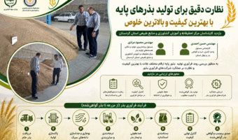 نظارت میدانی بر فرآوری بذر؛ گامی مؤثر برای حفظ کیفیت و خلوص ارقام راهبردی غلات