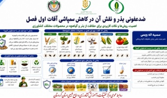اینفوگرافی ضدعفونی بذر؛ نخستین گام برای کاهش آفات و مصرف سموم در آغاز فصل کشت